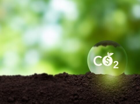 Study Finds Carbon Offsets Failing to Deliver Real Climate Impact