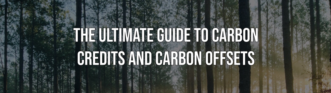 ULTIMATE GUIDE TO CARBON CREDITS AND CARBON OFFSETS
