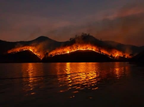 Wildfires Destroy Carbon Credit Forests