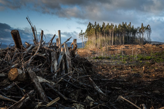 Millions May Move Due to Climate Change