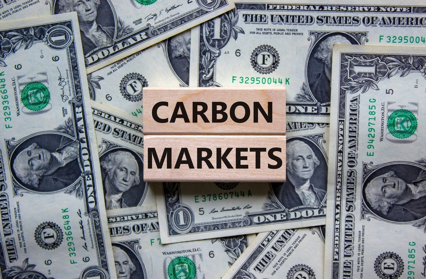 Carbon Markets Investments