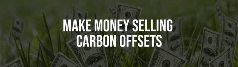 How to Make Money Producing and Selling Carbon Offsets