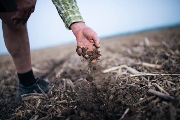 eAgronom Raises $7.4M for farming-based Carbon Credits Platform