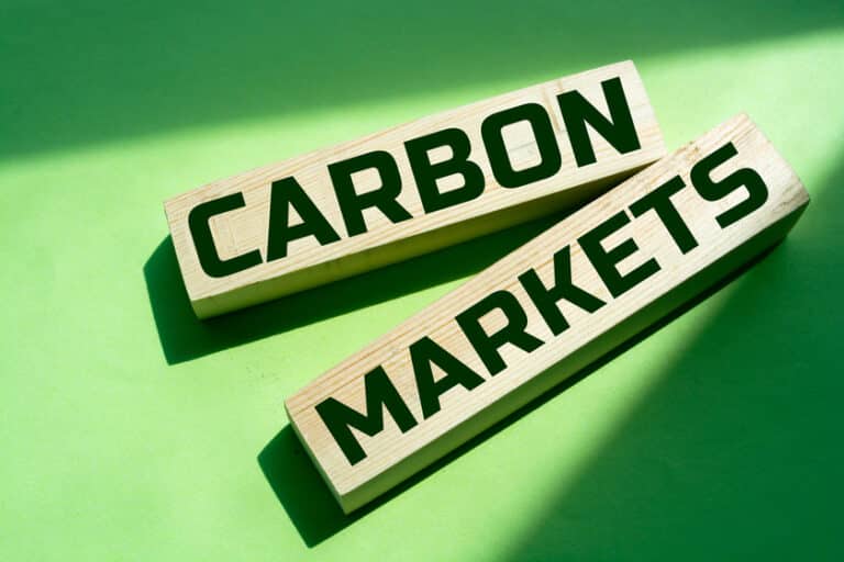 Global Carbon Market Value Soars to $851 Billion in 2021