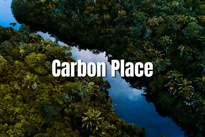 Carbonplace platform