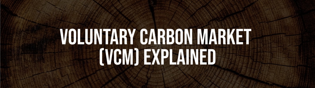 What is the Voluntary Carbon Market_ (1)