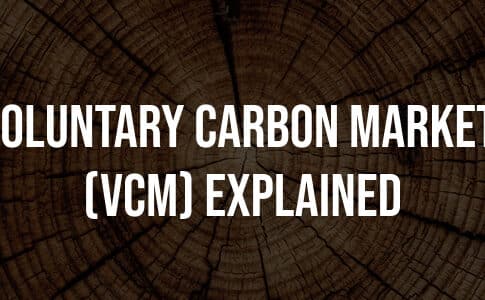 What is the Voluntary Carbon Market