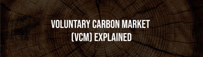 What is the Voluntary Carbon Market?