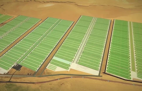 Growing Algae In The Desert to to Capture Carbon