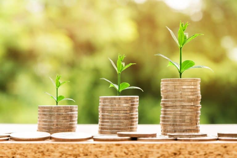 A Guide on Carbon Credit Accounting and Reporting Net Zero