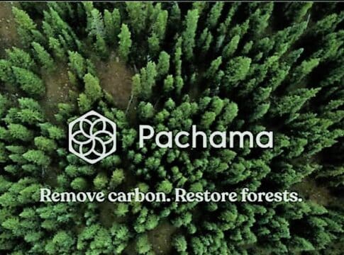Carbon Credit Platform Pachama Secures $55 Million Funding