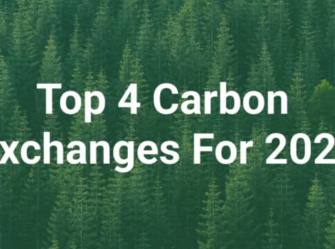 The Top 4 Carbon Exchanges for 2022