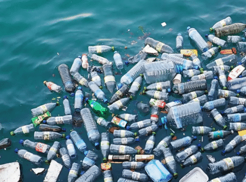 New Enzyme That Breaks Down Plastics May Boost Plastic Credits