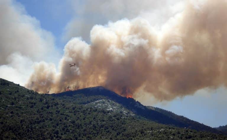 California Forest Carbon Buffer Pool is Not Enough