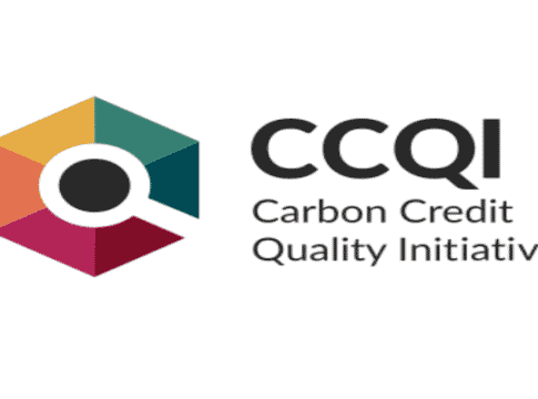 Carbon Initiative Reveals New Online Scoring Tool for Carbon Credits