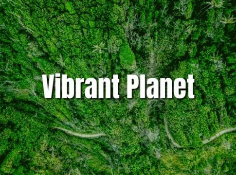 Former Silicon Valley Executives Launch Vibrant Planet for Forest Restoration
