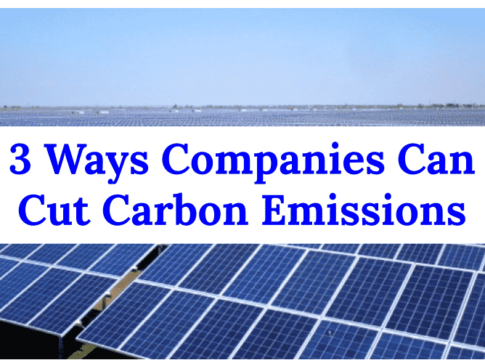 Best Ways Companies Can Cut Carbon Emissions (3 Tips That Work)