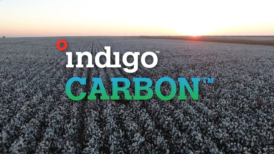 indigo ag carbon credits