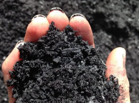 Verra  To Release Methodology For Biochar Carbon Credit Projects
