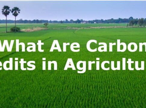 Agricultural Carbon Credits and Carbon Farming Guide