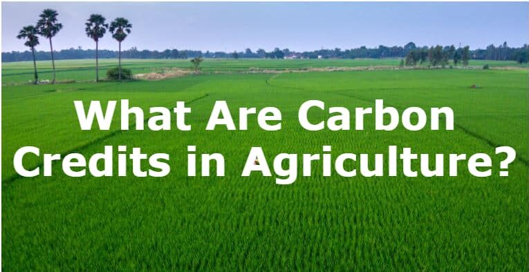 what are carbon credits in agriculture