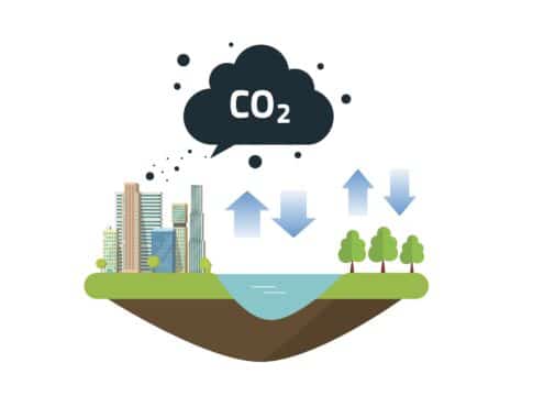 Understanding The Carbon Cycle and How it Changes the Climate