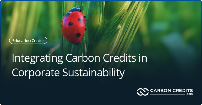 Integrating Carbon Credits in Corporate Sustainability