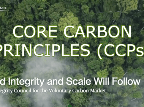 Integrity Council Unveils Core Carbon Principles for Consultation