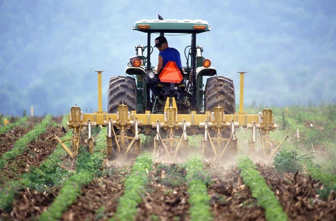 Dutch farmers protesting over nitrogen emissions