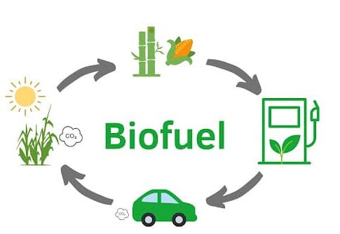 Breakthrough in Low Cost Biofuels from Biomass