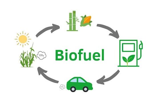 Biofuels from biomass