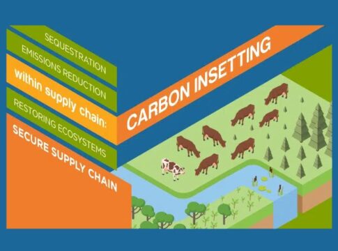 Carbon Insetting: The Target of Scope 3 Carbon Offset Accounting