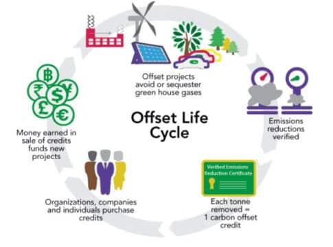 The Carbon Credit Lifecycle
