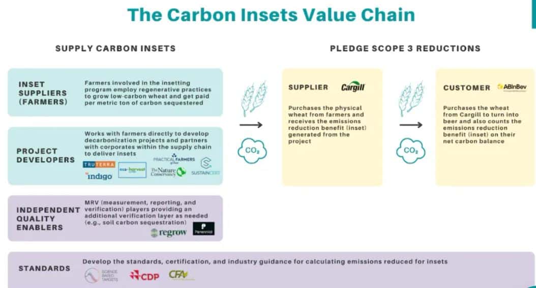 carbon inset value chain