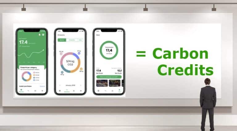 How to Calculate Carbon Credits? (5 Easy Steps to Follow)