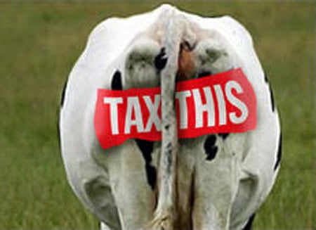 Taxing Cow Emissions to Reduce the Livestock Industry’s Emissions