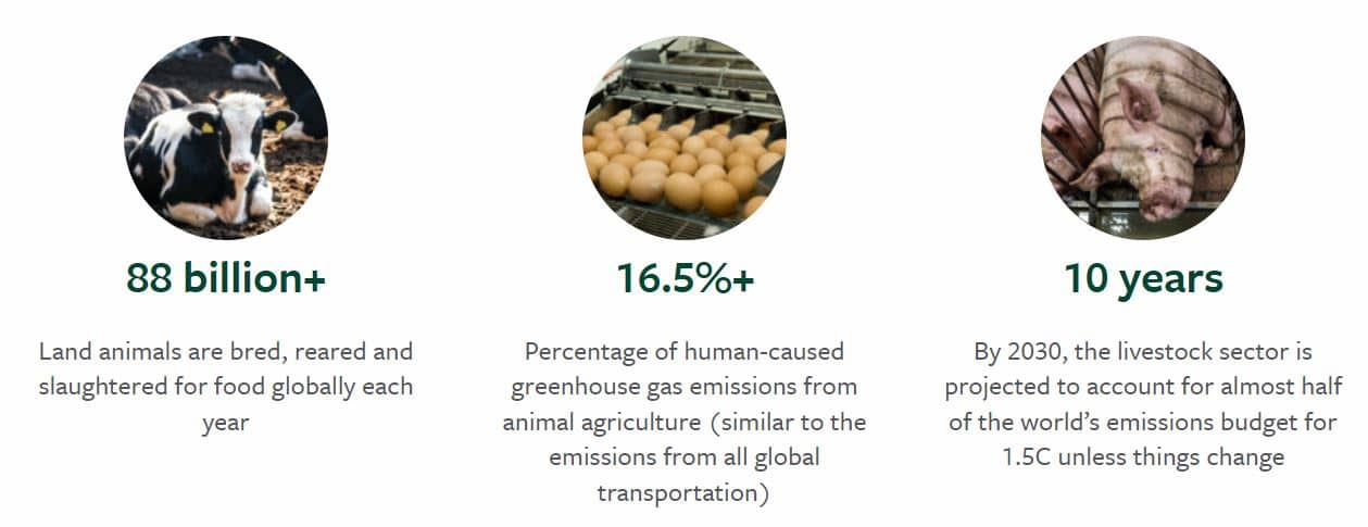 livestock emissions facts