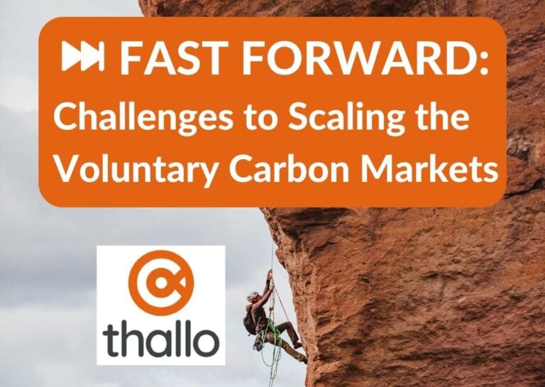Verification Delays Can Cost Carbon Project Developers $2.6B