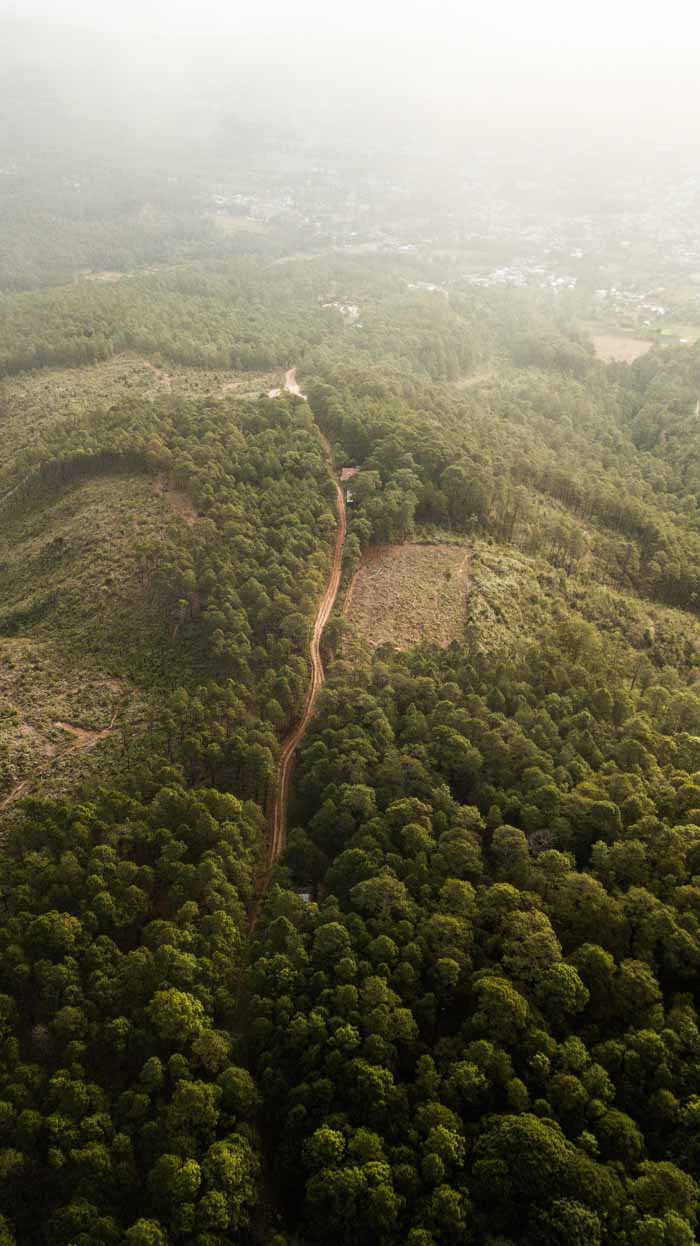 US sanction Amazon deforestation
