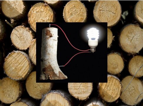 Batteries From Wood: A Renewable Energy Storage Solution