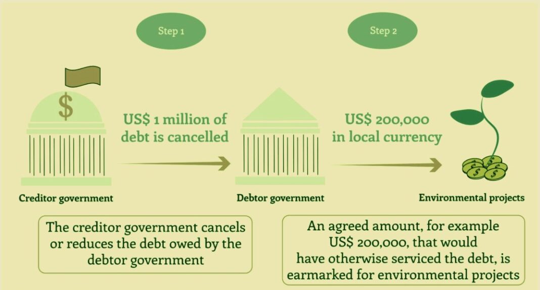 debt-for-nature-swaps-are-drawing-attention-carbon-credits-play-a-role