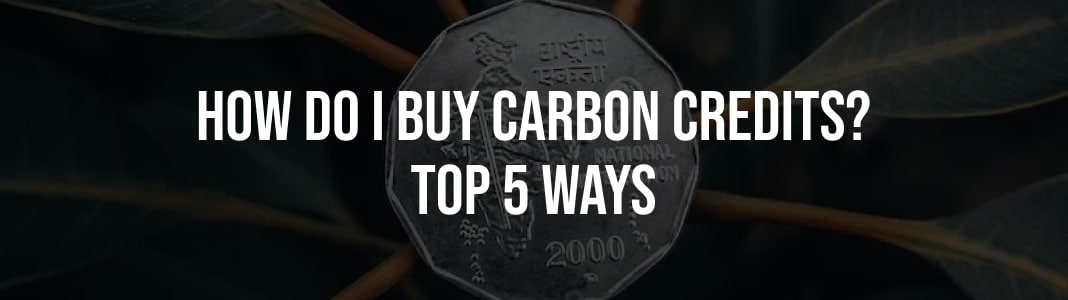 how do I buy carbon credits_ top 5 ways