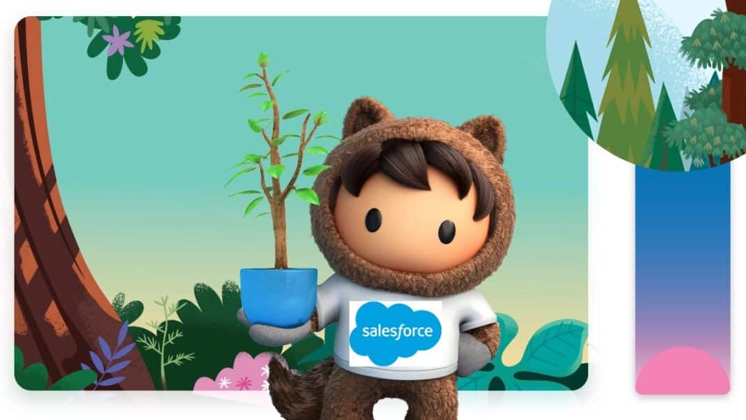 salesforce climate commitment