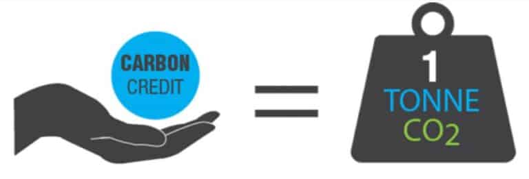 What is Carbon Financing And How to Participate in It?