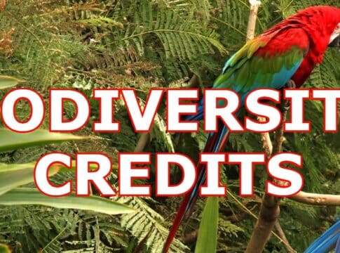 Biodiversity Credits: A New Way of Funding Nature Protection