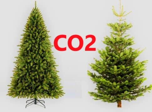Christmas Tree Carbon Emissions: The Real vs. Fake Breakdown