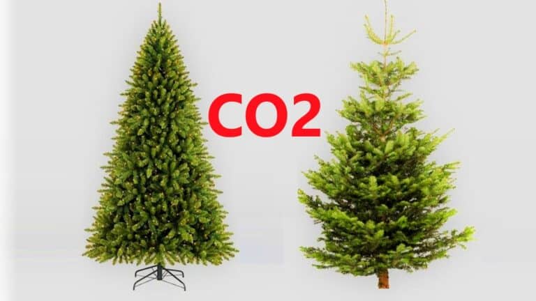 Christmas Tree Carbon Emissions: The Real vs. Fake Breakdown
