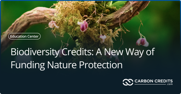 Biodiversity Credits: A New Way of Funding Nature Protection