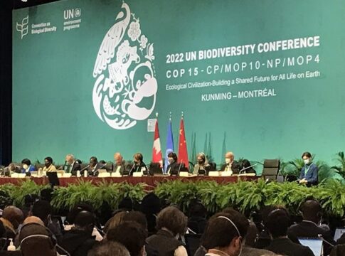 COP15 Talks: Can Biodiversity Credit Gives Value on Nature?