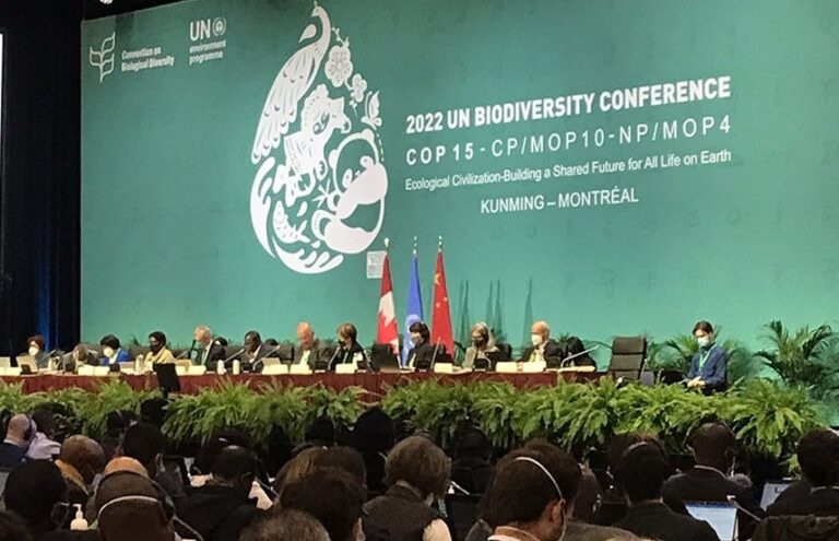 COP15 Talks: Can Biodiversity Credit Gives Value on Nature?